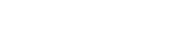 The American University in Cairo